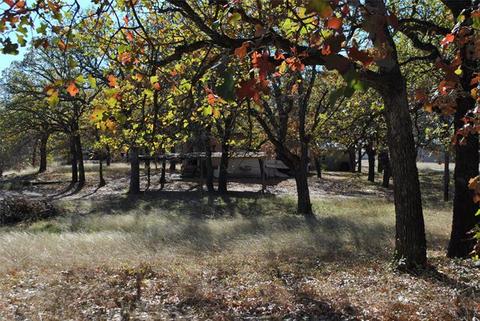 240 Circle Dr, Comanche, TX 76442 photo 6