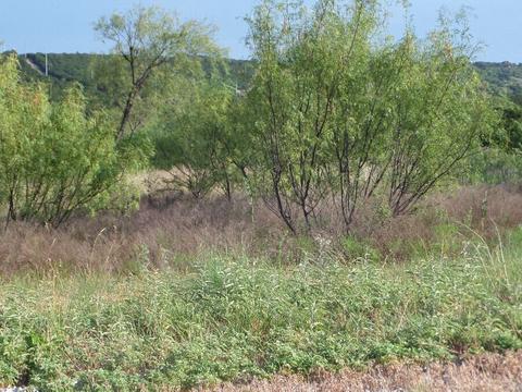 Lt 984 Birds Eye Court, Graford, TX 76449