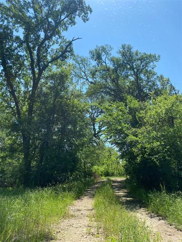 2350 Cr 260, Gustine, TX 76455 photo 3