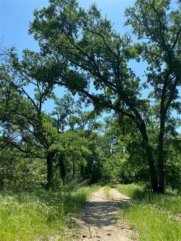2350 Cr 260, Gustine, TX 76455 photo 2