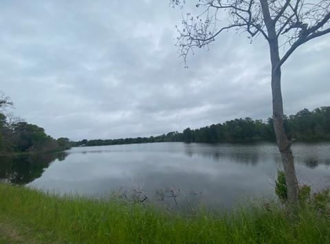 00 Wildwood Dr, Shreveport, LA 71119