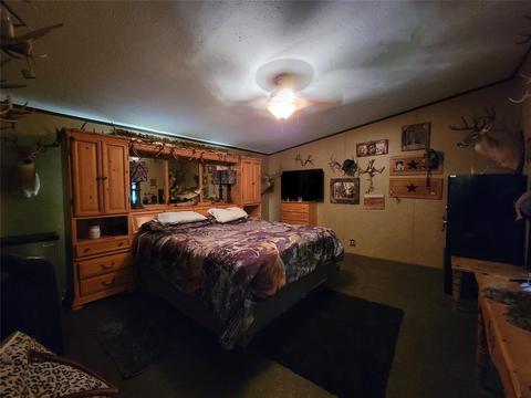 2050 Fm 586, Bangs, TX 76823 photo 23