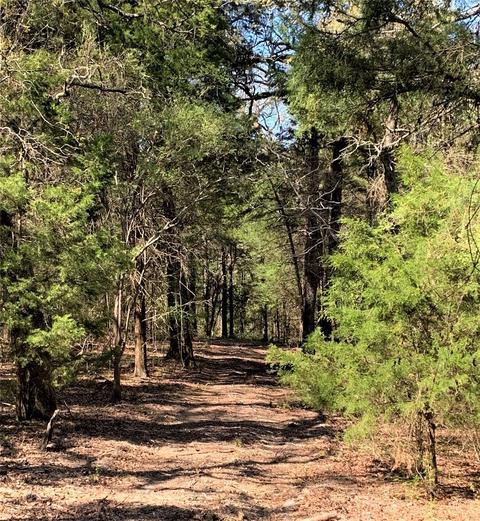 5245 Fm 2709, Athens, TX 75752