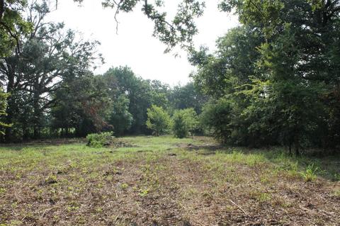 3130 S Tool Dr, Tool, TX 75143 photo 9
