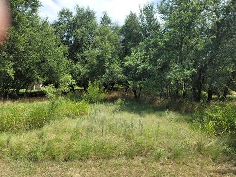 17135 Woodlawn Dr, Whitney, TX 76692