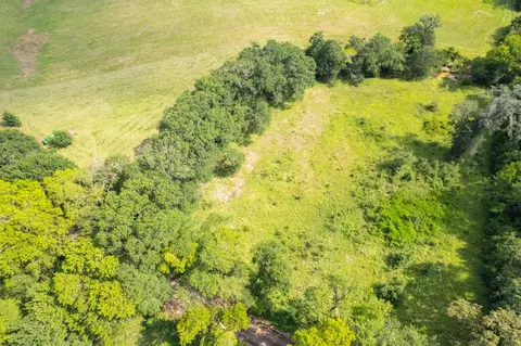 tbd County Road 1280 Rd, Emory, TX 75440 photo 18
