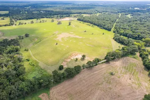 tbd County Road 1280 Rd, Emory, TX 75440 photo 13