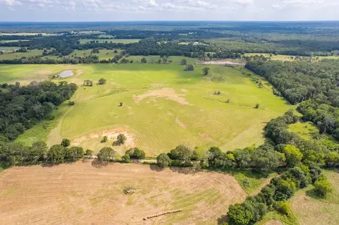 tbd County Road 1280 Rd, Emory, TX 75440 photo 14