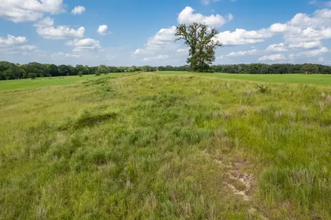 tbd County Road 1280 Rd, Emory, TX 75440 photo 27