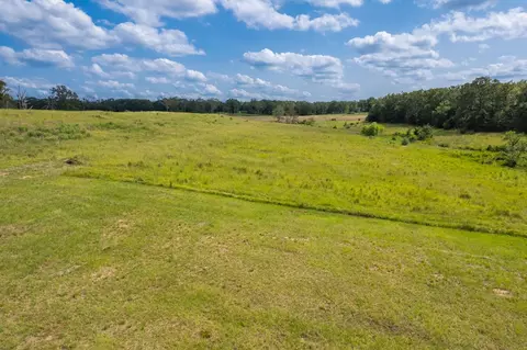 tbd County Road 1280 Rd, Emory, TX 75440 photo 20