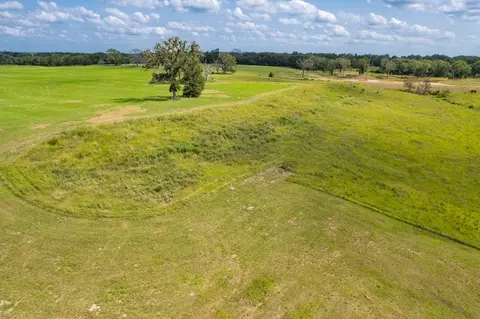 tbd County Road 1280 Rd, Emory, TX 75440 photo 19