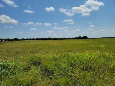 Lot 1 County Rd 1245, Savoy, TX 75479