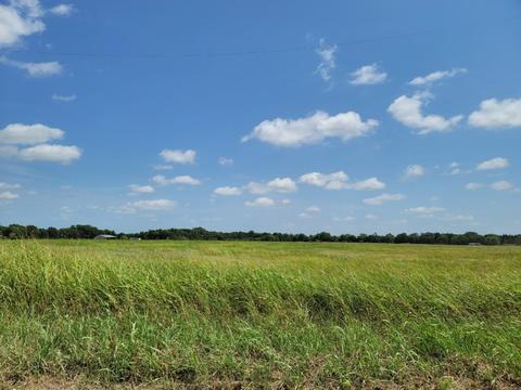 Lot 3 County Rd 1245, Savoy, TX 75479