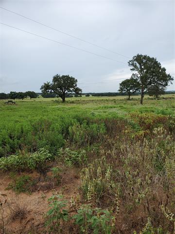 285 Cr 150, Comanche, TX 76442 photo 5