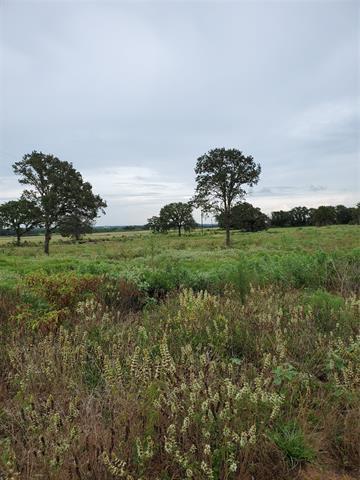 285 Cr 150, Comanche, TX 76442 photo 8