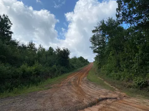 tbd County Road 394, Tatum, TX 75691