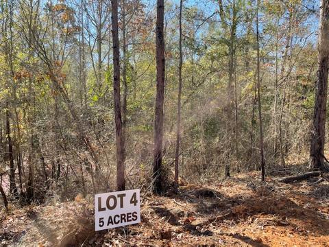 Lot 4 County Road 4609, Edom, TX 75754