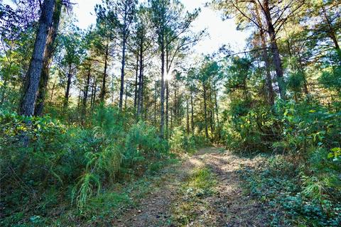 0 Denmons Rd, Plain Dealing, LA 71064 photo 13