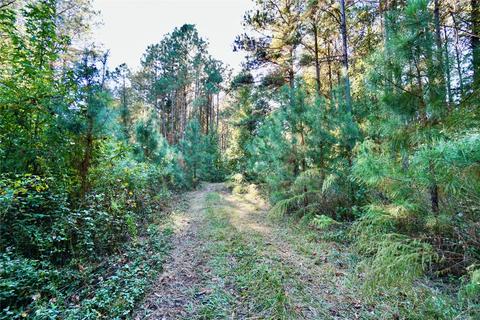0 Denmons Rd, Plain Dealing, LA 71064 photo 9