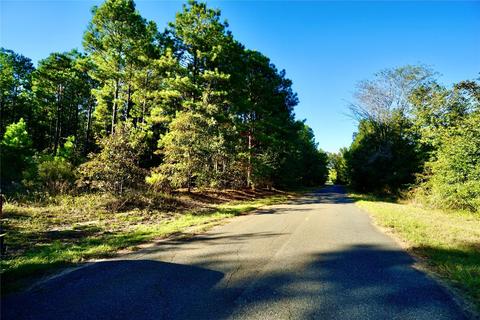 0 Denmons Rd, Plain Dealing, LA 71064 photo 15