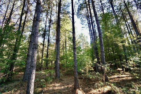 0 Denmons Rd, Plain Dealing, LA 71064 photo 11
