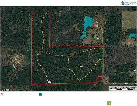 0 Denmons Rd, Plain Dealing, LA 71064 photo 2