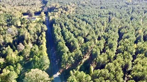 0 Denmons Rd, Plain Dealing, LA 71064 photo 7