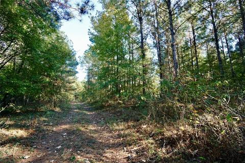 0 Denmons Rd, Plain Dealing, LA 71064 photo 8