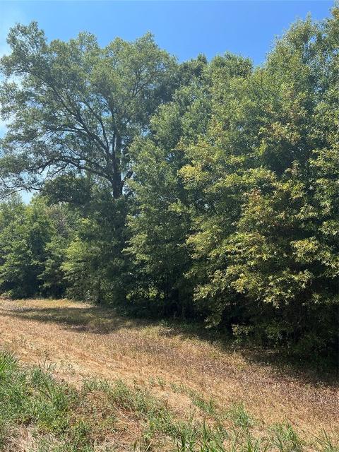 Tbd Fm3042, Pittsburg, TX 75686
