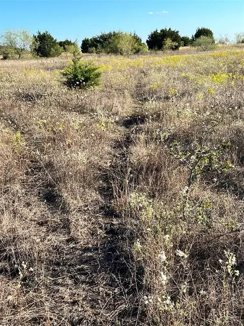 Tbd Fm 1602 Tract 13, Jonesboro, TX 76531
