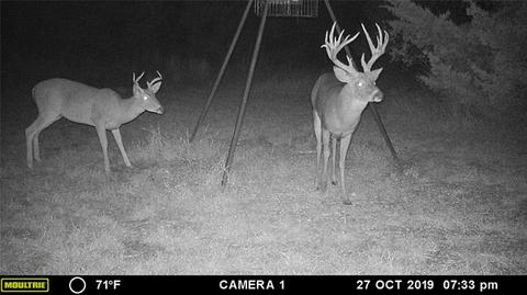 2829 Fm 66, Itasca, TX 76055 photo 21