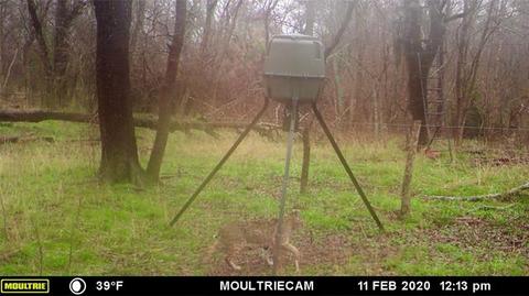 2829 Fm 66, Itasca, TX 76055 photo 22