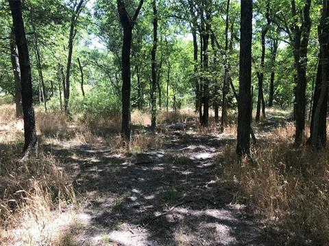 2829 Fm 66, Itasca, TX 76055 photo 8