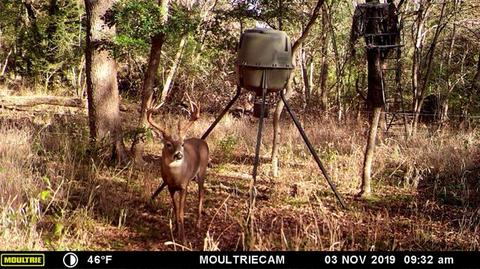 2829 Fm 66, Itasca, TX 76055 photo 24
