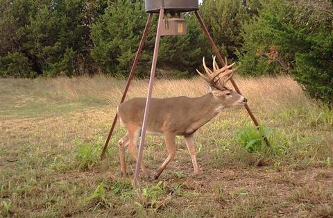 2829 Fm 66, Itasca, TX 76055 photo 3