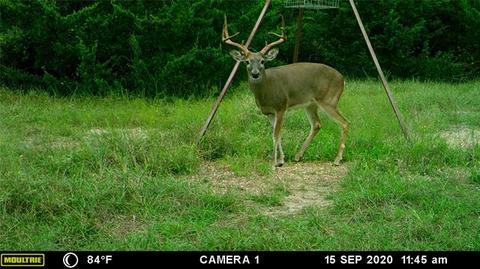 2829 Fm 66, Itasca, TX 76055 photo 25