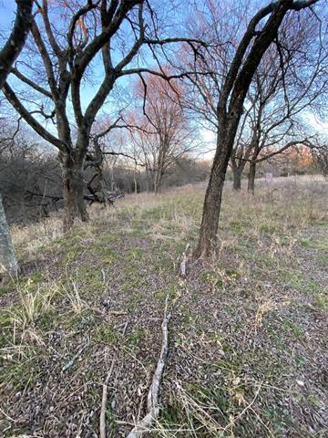 2829 Fm 66, Itasca, TX 76055 photo 5