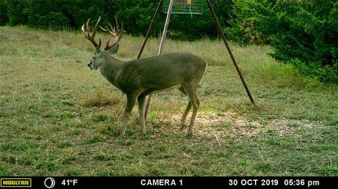 2829 Fm 66, Itasca, TX 76055 photo 20