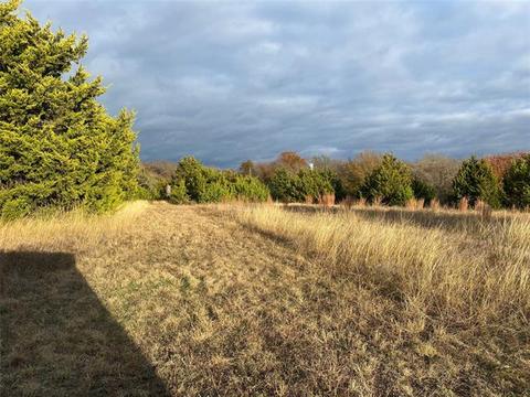 2829 Fm 66, Itasca, TX 76055 photo 9