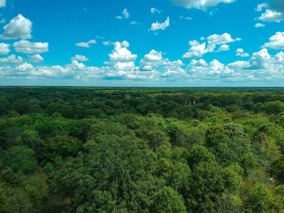 000 Rs County Road 1315, Emory, TX 75440 6 Photos Movoto