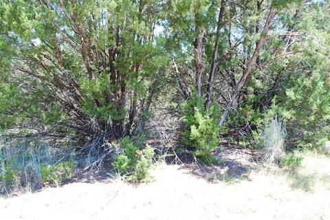 8183 Cedar Crest Dr, Whitney, TX 76692 photo 2