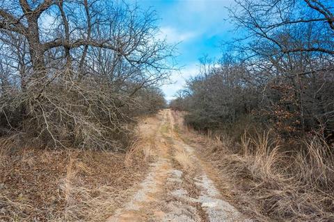 1081 Elenburg Rd, Perrin, TX 76486 photo 19