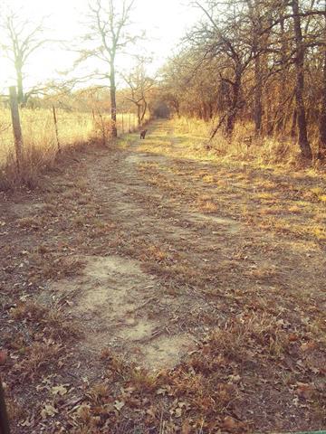 1081 Elenburg Rd, Perrin, TX 76486 photo 23