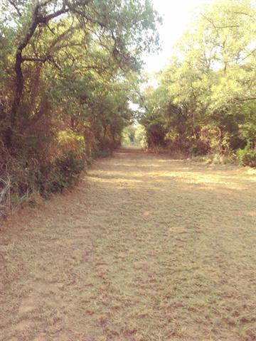 1081 Elenburg Rd, Perrin, TX 76486 photo 20