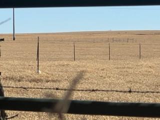 761 County Road 152, Comanche, TX 76442 photo 9