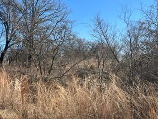 761 County Road 152, Comanche, TX 76442 photo 1