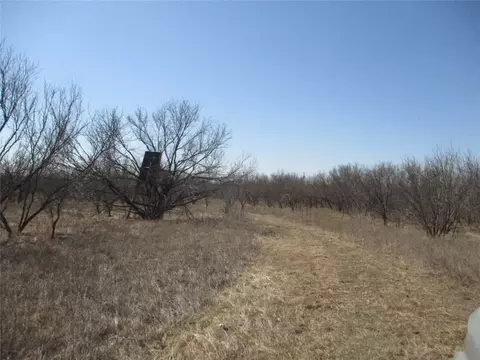 lot5 Old Joy Shannon, Bluegrove, TX 76352