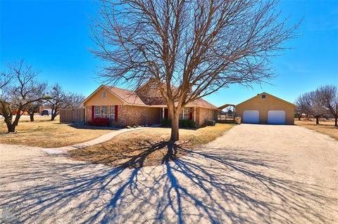 249 Pack Saddle Pass, Abilene, TX 79602 photo 1