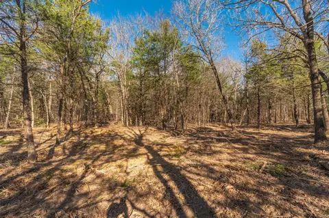 tbd Rs County Road 4520, Point, TX 75472 photo 9