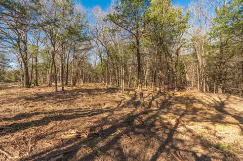 tbd Rs County Road 4520, Point, TX 75472 photo 10